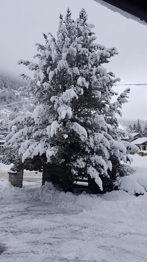 Hotel Pineta Ponte Di Legno Esterno foto