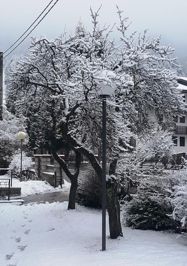 Hotel Pineta Ponte Di Legno Esterno foto
